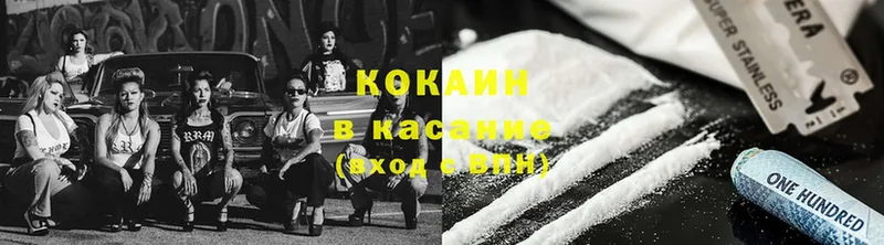 OMG маркетплейс  Новоалександровск  Cocaine FishScale 