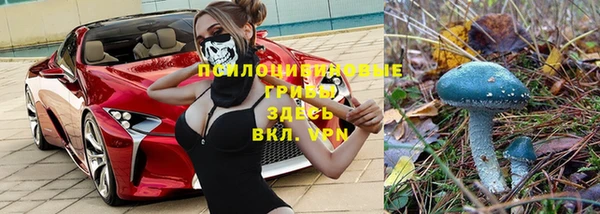 прущий лед Вяземский