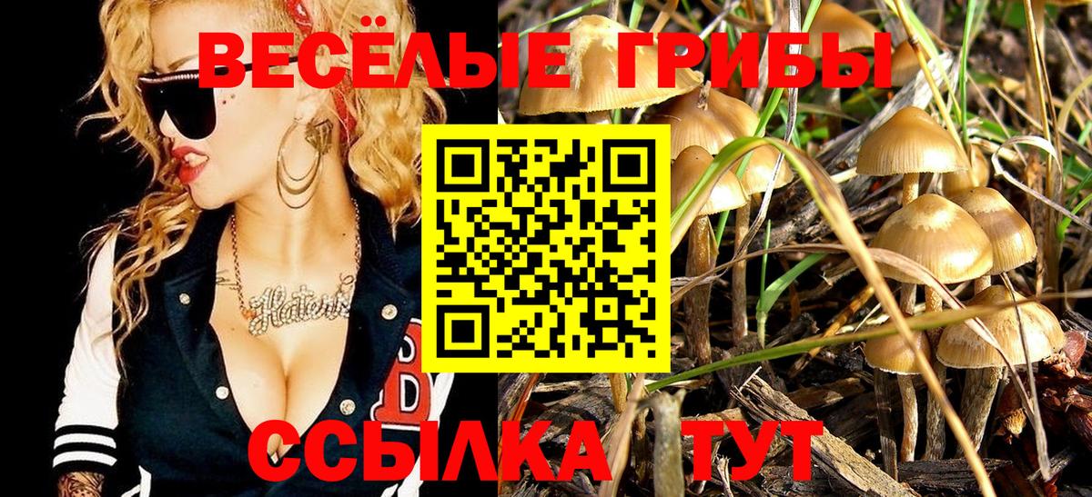 МЕФ Новоалександровск