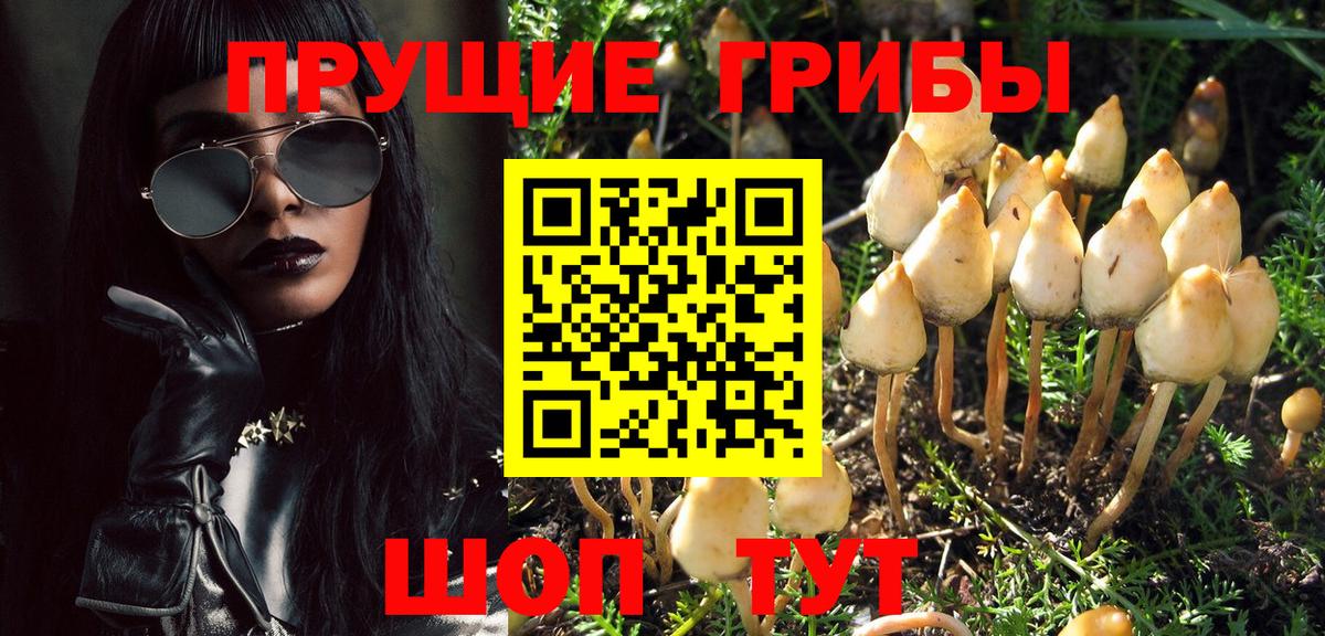 Псилоцибиновые грибы Psilocybe  Вход с VPN  Галлюциногенные грибы Magic Shrooms  Новоалександровск 
